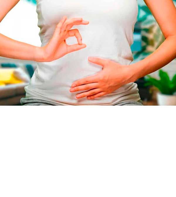 Cómo recuperar la flora intestinal para mejorar tu bienestar Cómo recuperar la flora intestinal para mejorar tu bienestar